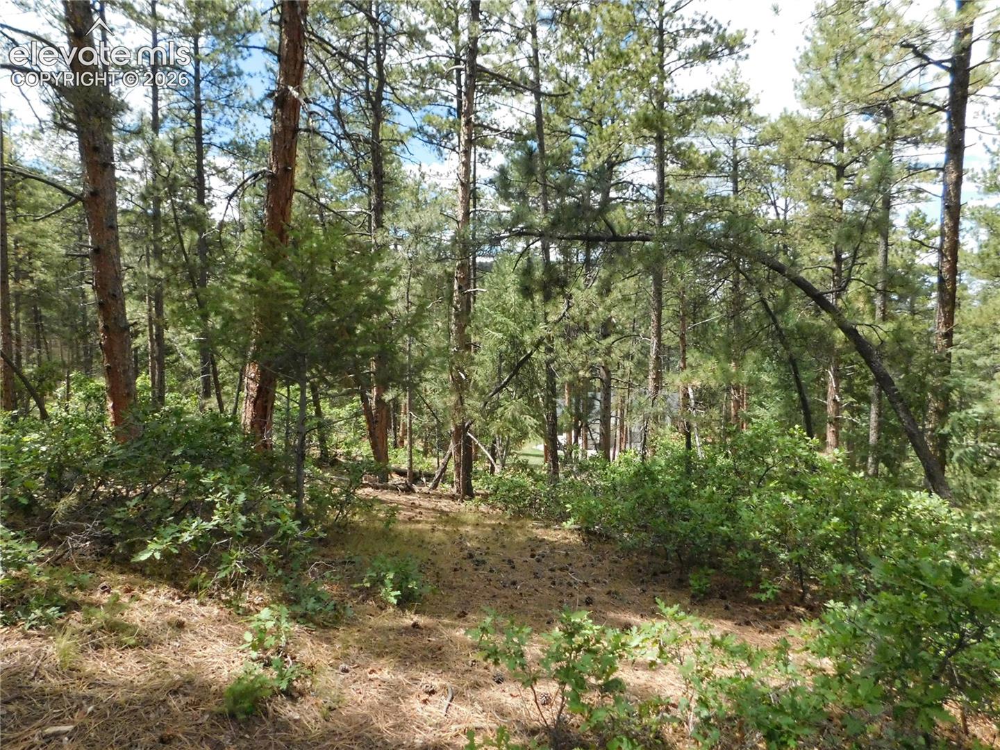 Photo 19 of 8139 Bannock Drive, Larkspur