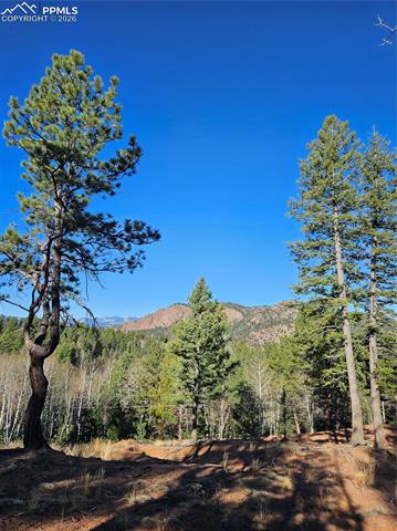 Photo 10 of 652 Derby Drive, Cripple Creek