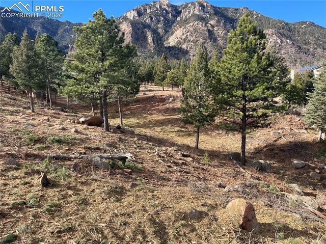 Photo 13 of 920 Grey Mountain Point, Colorado Springs
