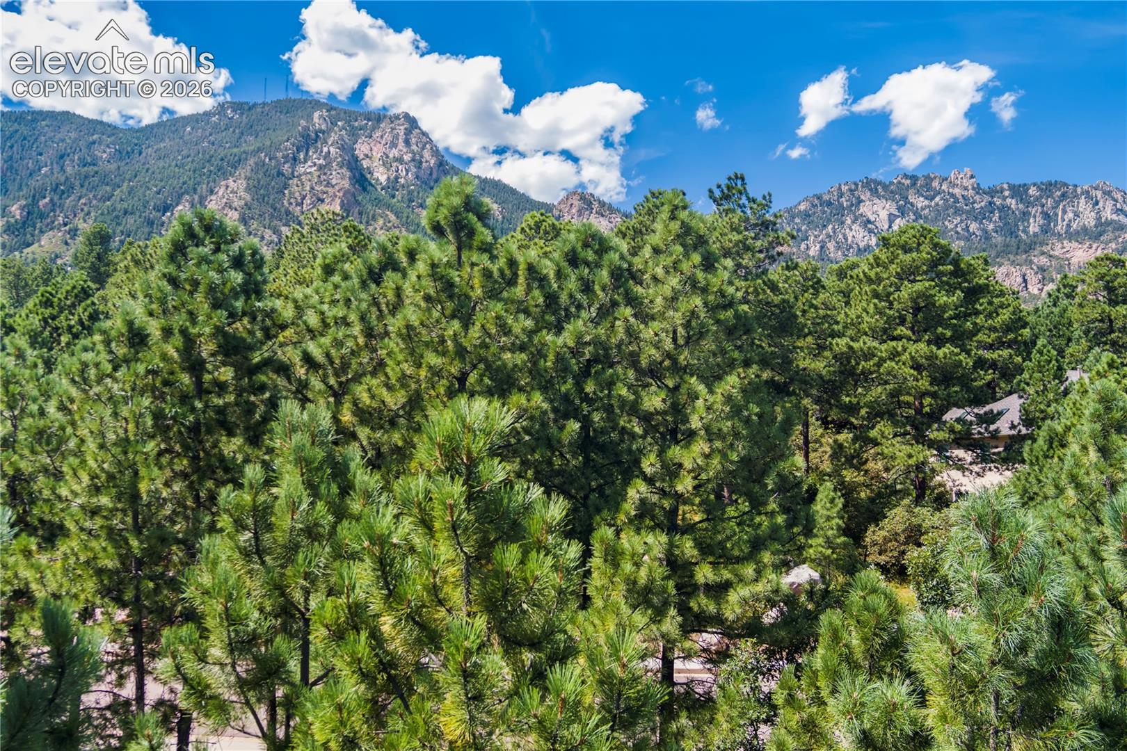 Photo 10 of 5625 Jarman Street, Colorado Springs