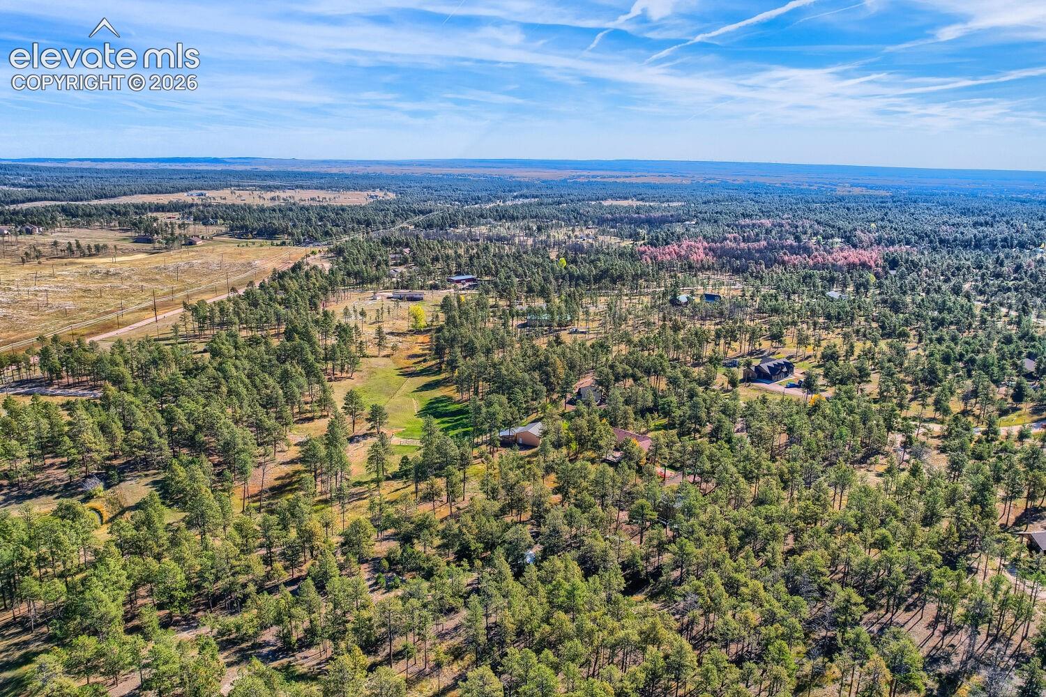 Expansive forested property with scattered residential structures