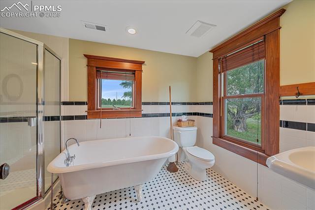Bathroom featuring tile walls, a freestanding bath, healthy amount of natural light, a stall shower, and a wainscoted wall