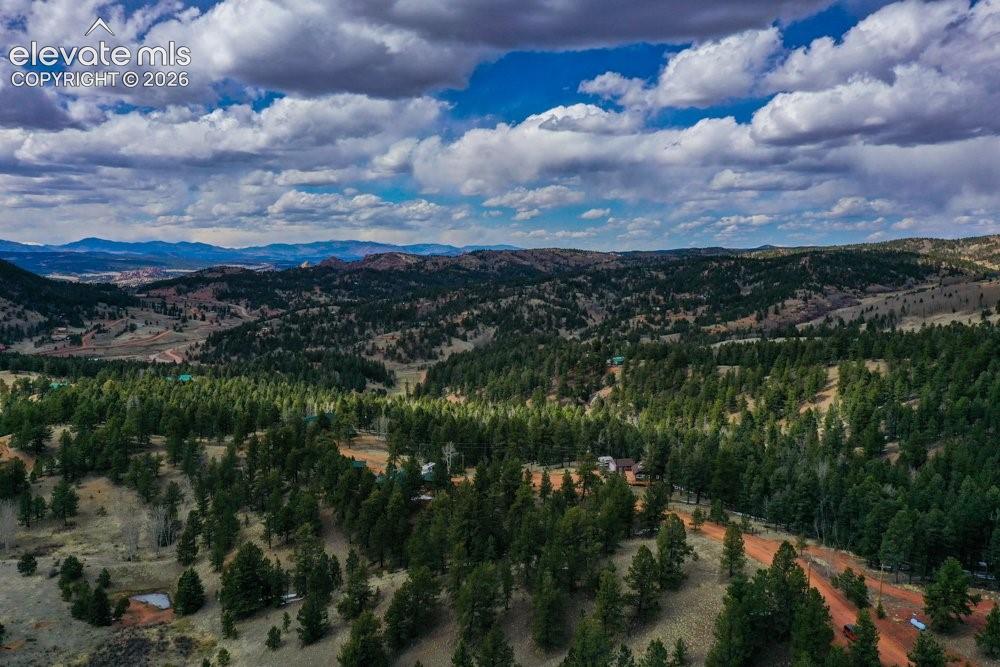 Mountain view featuring a view of trees