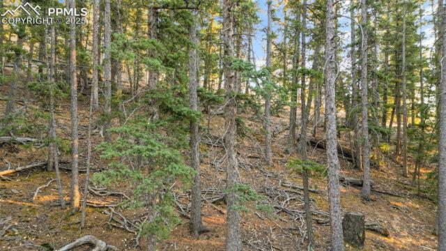 Photo 10 of 1289 Yorktown Road, Cripple Creek