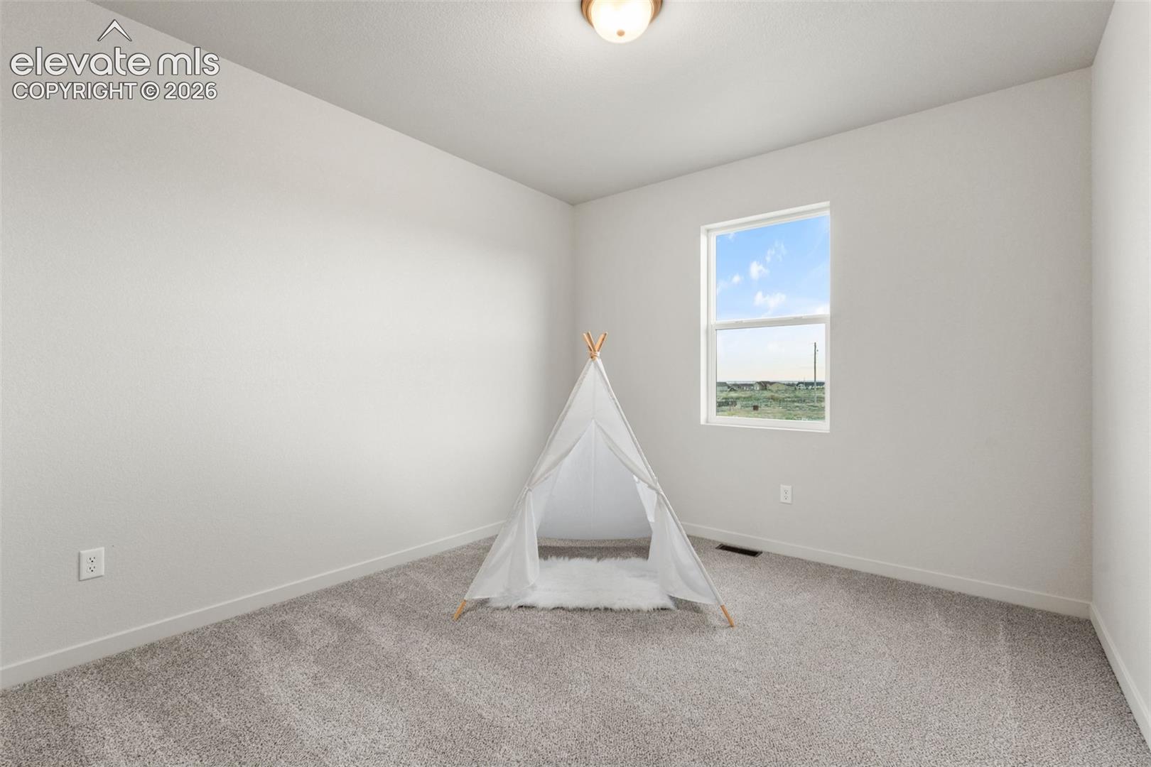 Neutral-toned interior space featuring light-colored wall paint, plush carpeting, a flush-mount ceiling light fixture, and a single-pane window with exterior natural scenery