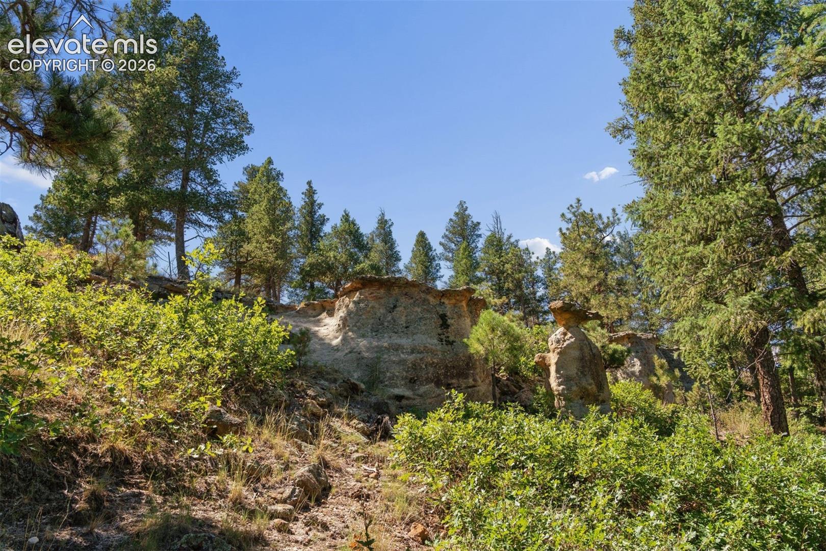 Photo 10 of 1015 Timber Valley Road, Colorado Springs