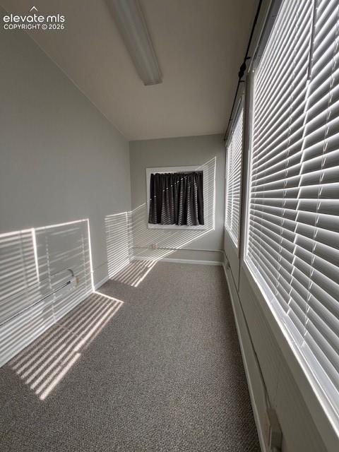 Interior space featuring wall-to-wall carpeting, multiple windows with adjustable horizontal blinds, and a linear overhead light fixture