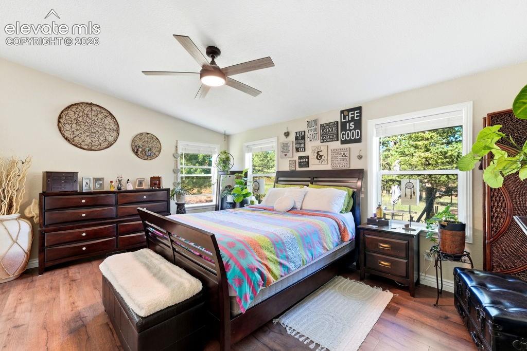 Vaulted ceiling with a contemporary ceiling fan, wood-finish flooring, and multiple windows with white trim