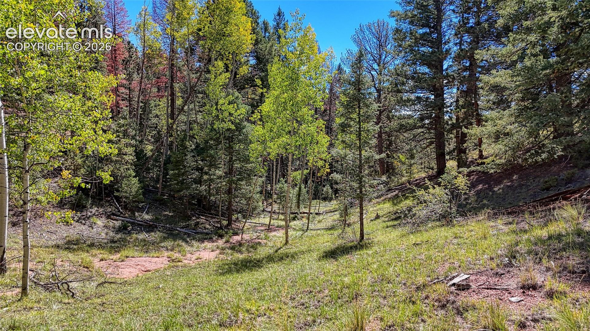 Photo 25 of 136 Gold Crown Circle, Cripple Creek