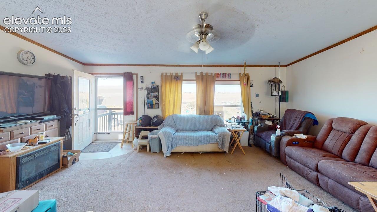 Living room featuring ceiling fan, carpet flooring, a textured ceiling, and ornamental molding