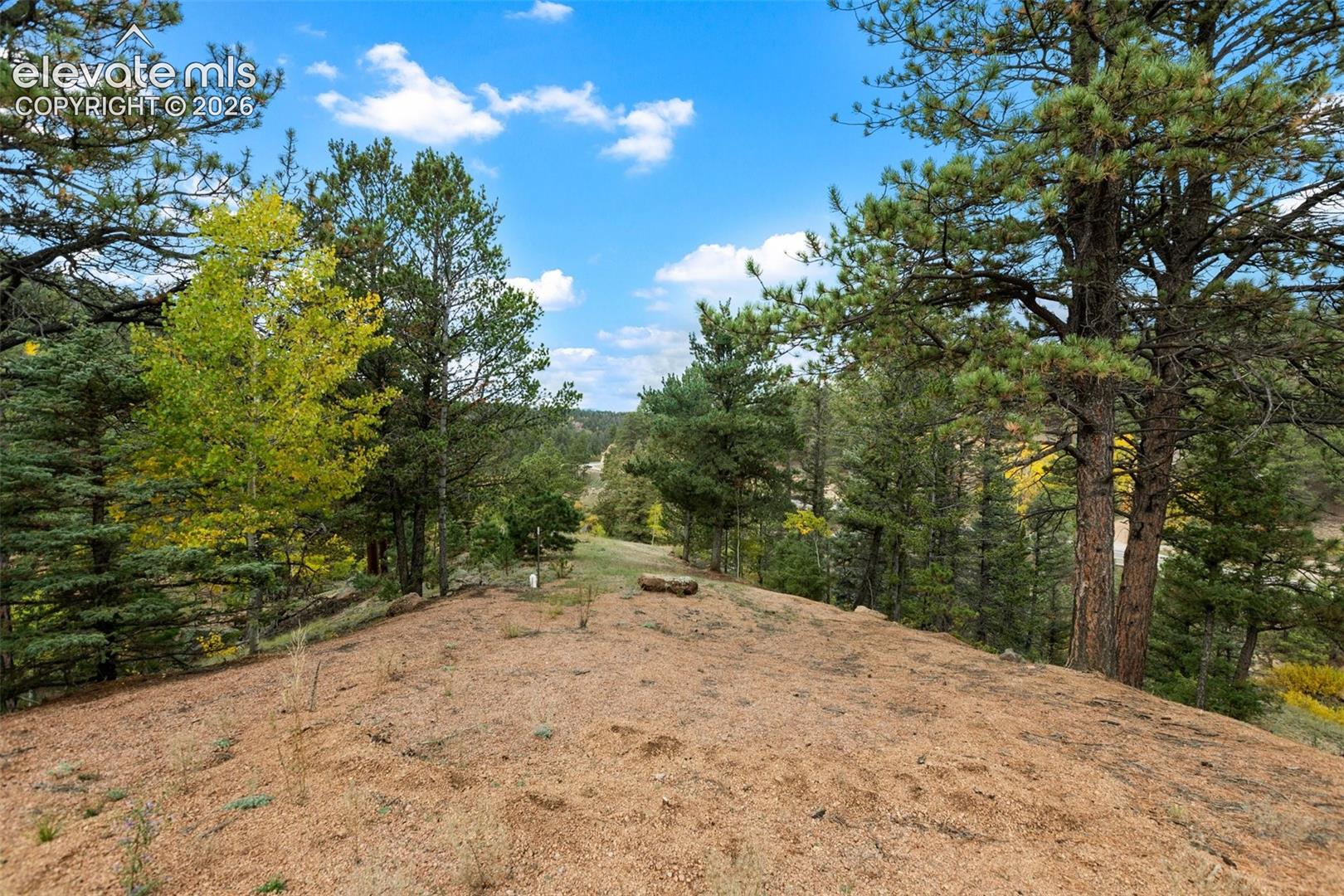 Elevated terrain with mature trees and natural landscaping