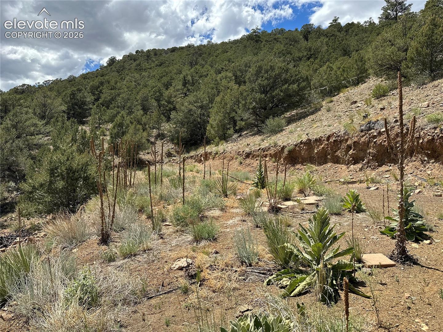 Photo 7 of 2973 Driftwood Road, Westcliffe