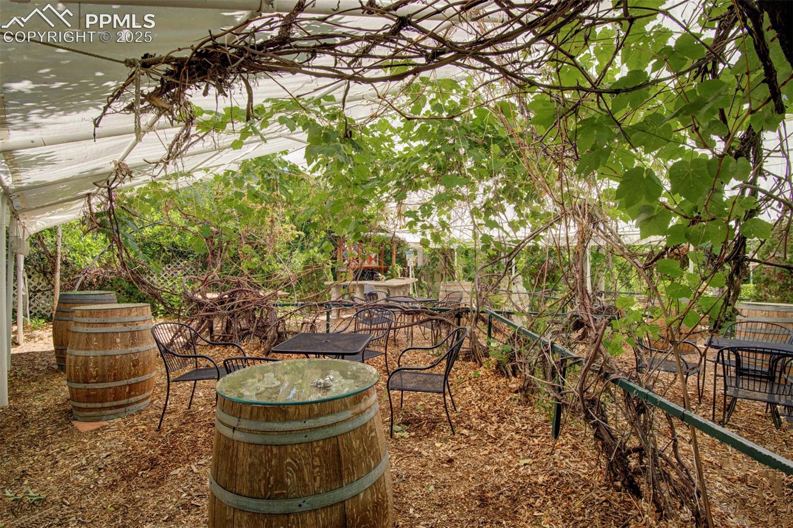 Secret Garden: Wine Vineyard