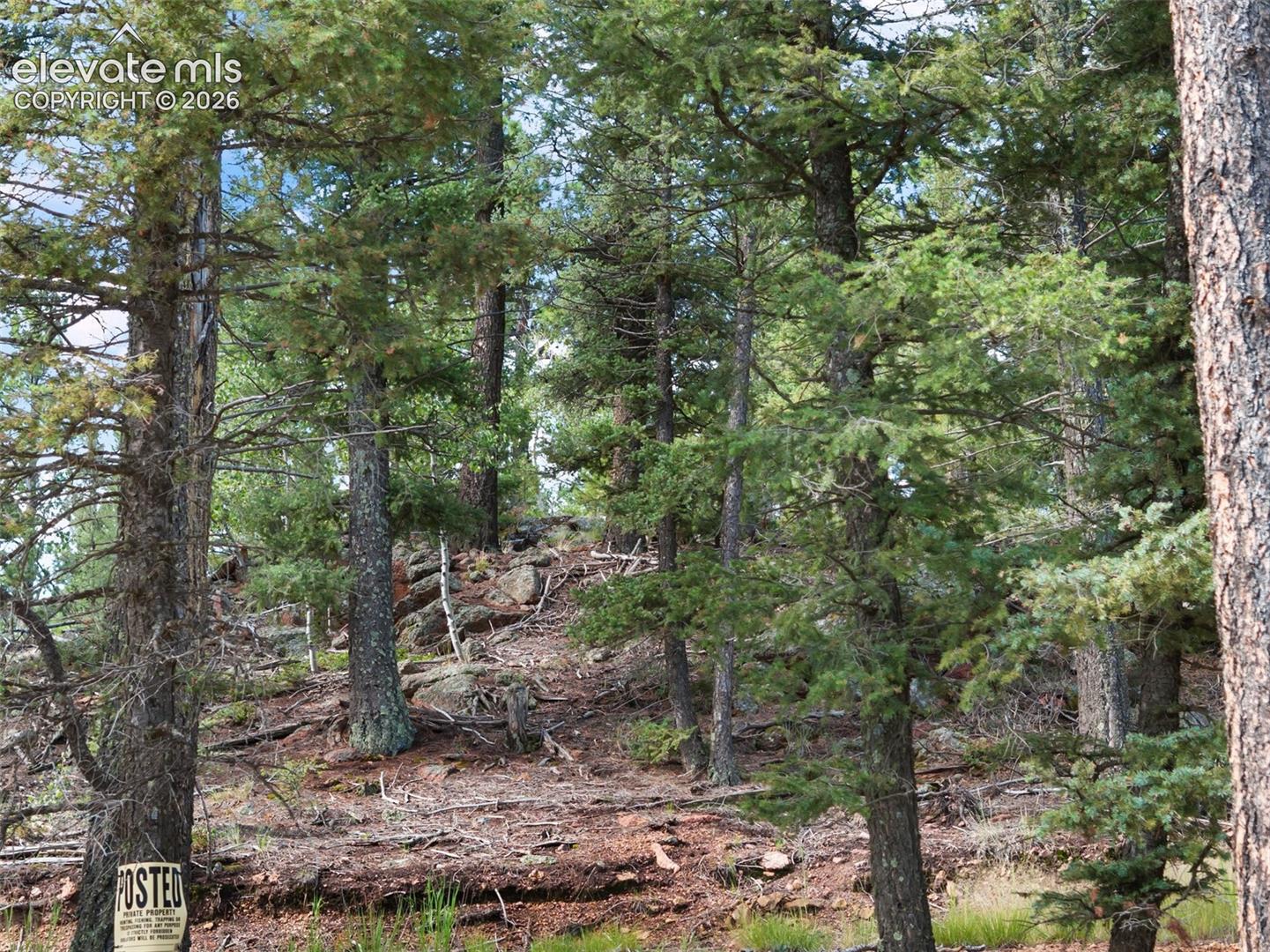 Photo 13 of 422 Spring Valley Drive, Divide
