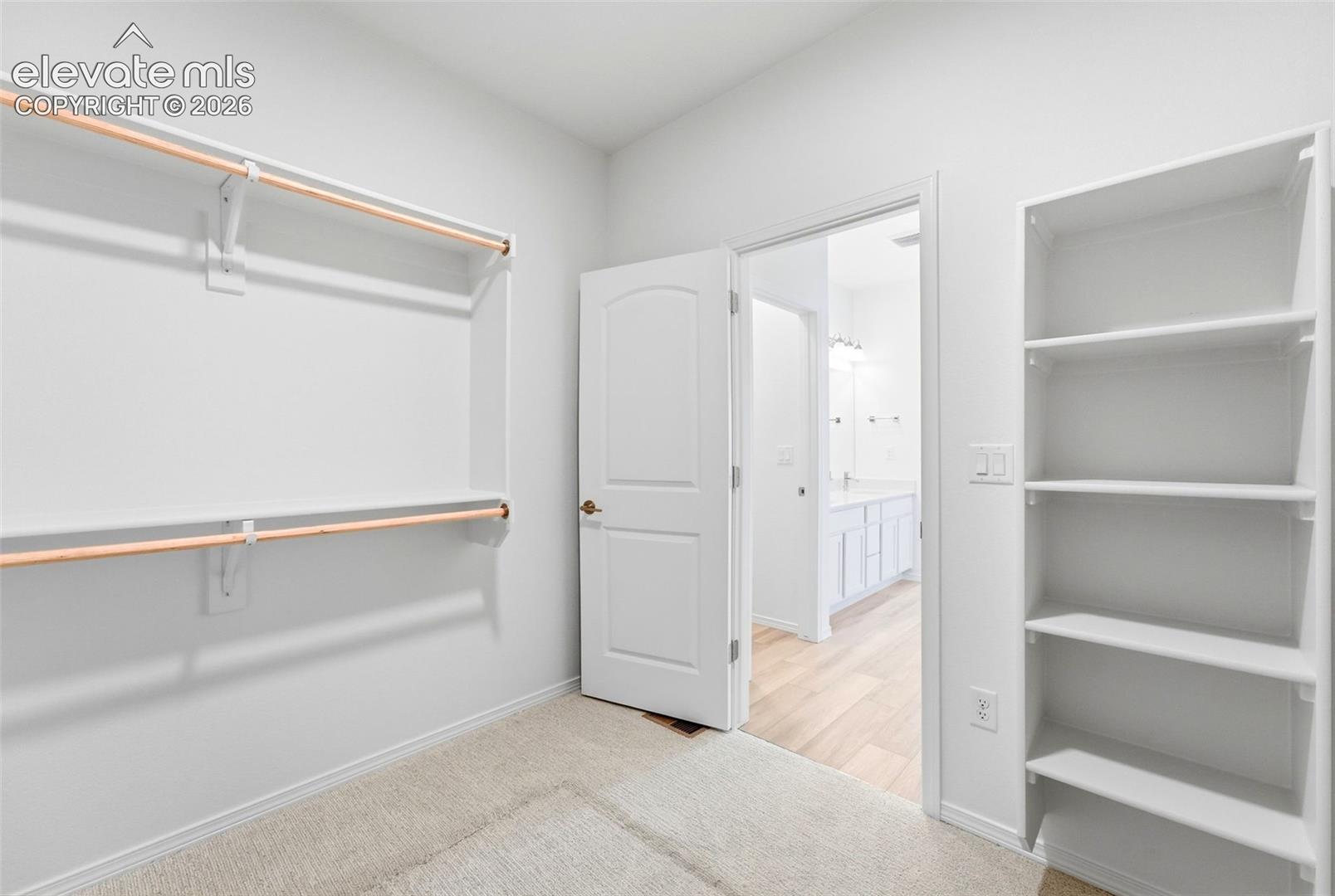 Walk-in closet featuring dual-tier shelving, built-in open storage cabinetry, neutral carpeting, and a solid-core interior door