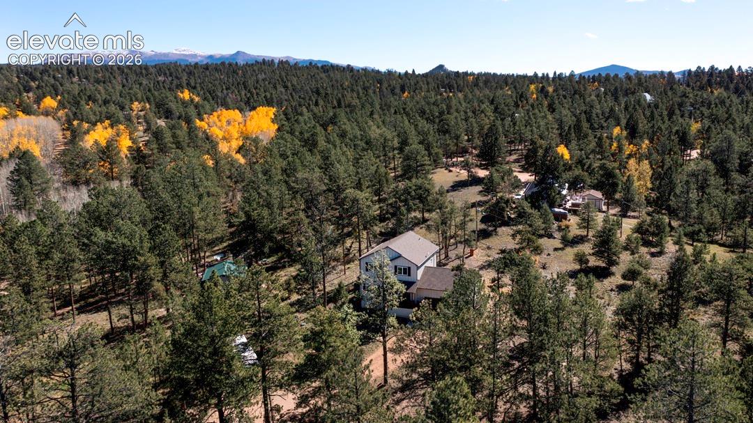 Multi-story residence situated on a wooded lot featuring a metal roof, surrounding coniferous forest, and mountain backdrop