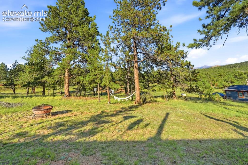 Expansive outdoor space featuring a fire pit, mature evergreen trees, and a distant mountain backdrop