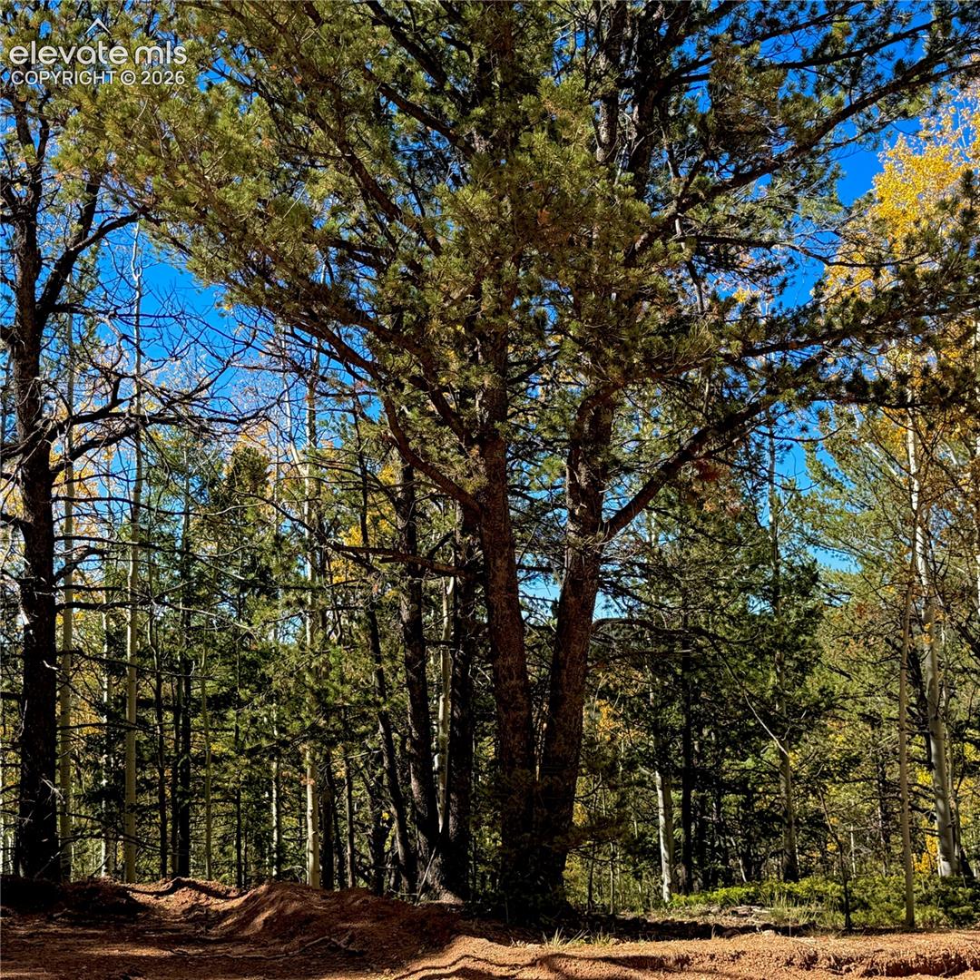 Photo 14 of 773 Timber Ridge Road, Divide