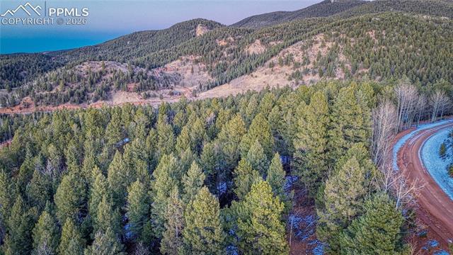 Photo 11 of 959 Calcite Drive, Divide
