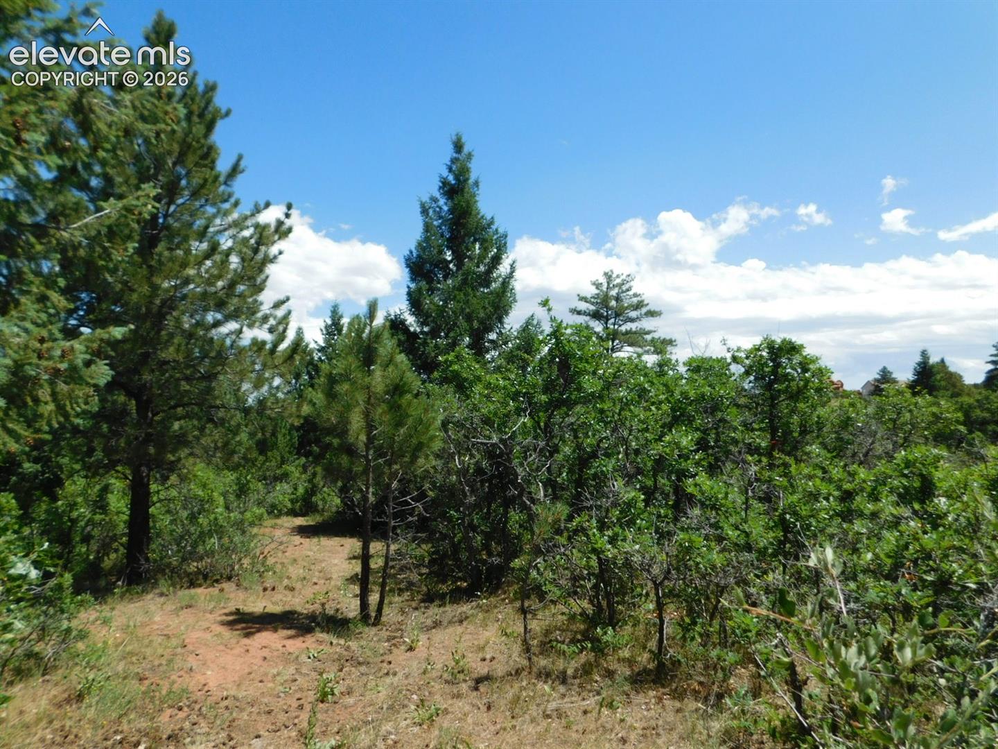 Photo 6 of 6447 Thunderbird Road, Larkspur