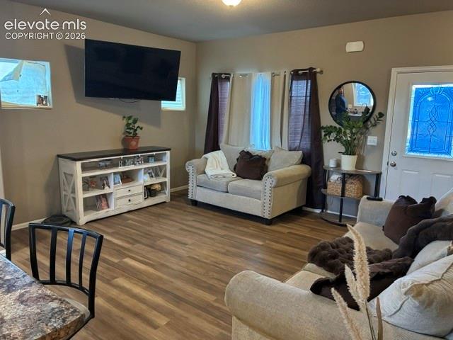 Open-concept interior featuring wood-finish flooring, multi-pane windows, and an exterior door with decorative glass inlay