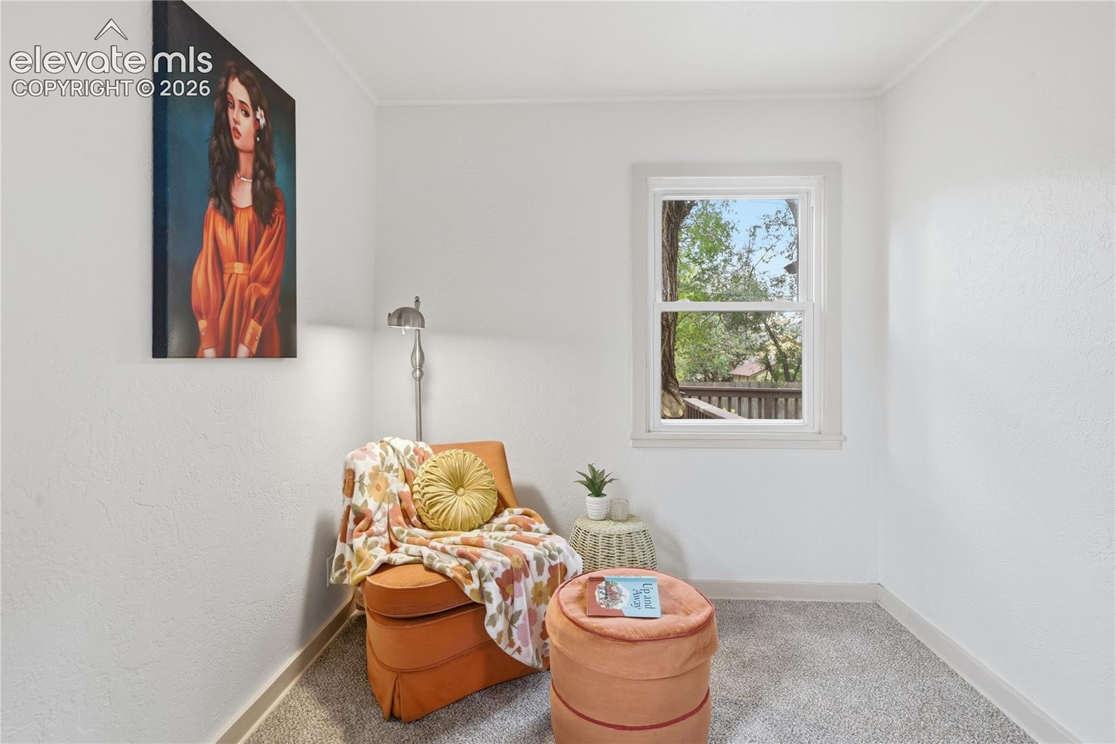 Room featuring neutral wall finishes, plush wall-to-wall carpeting, and a double-hung window with casing trim