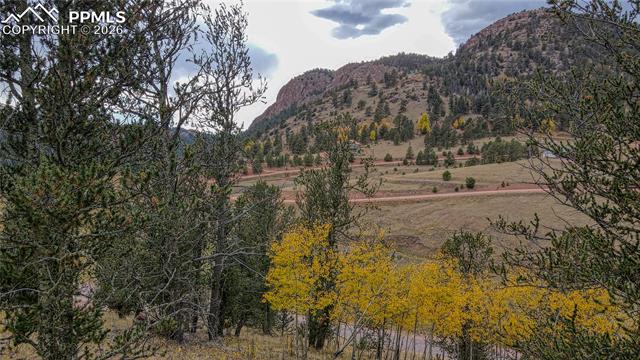 Photo 15 of 65 Portland Drive, Cripple Creek