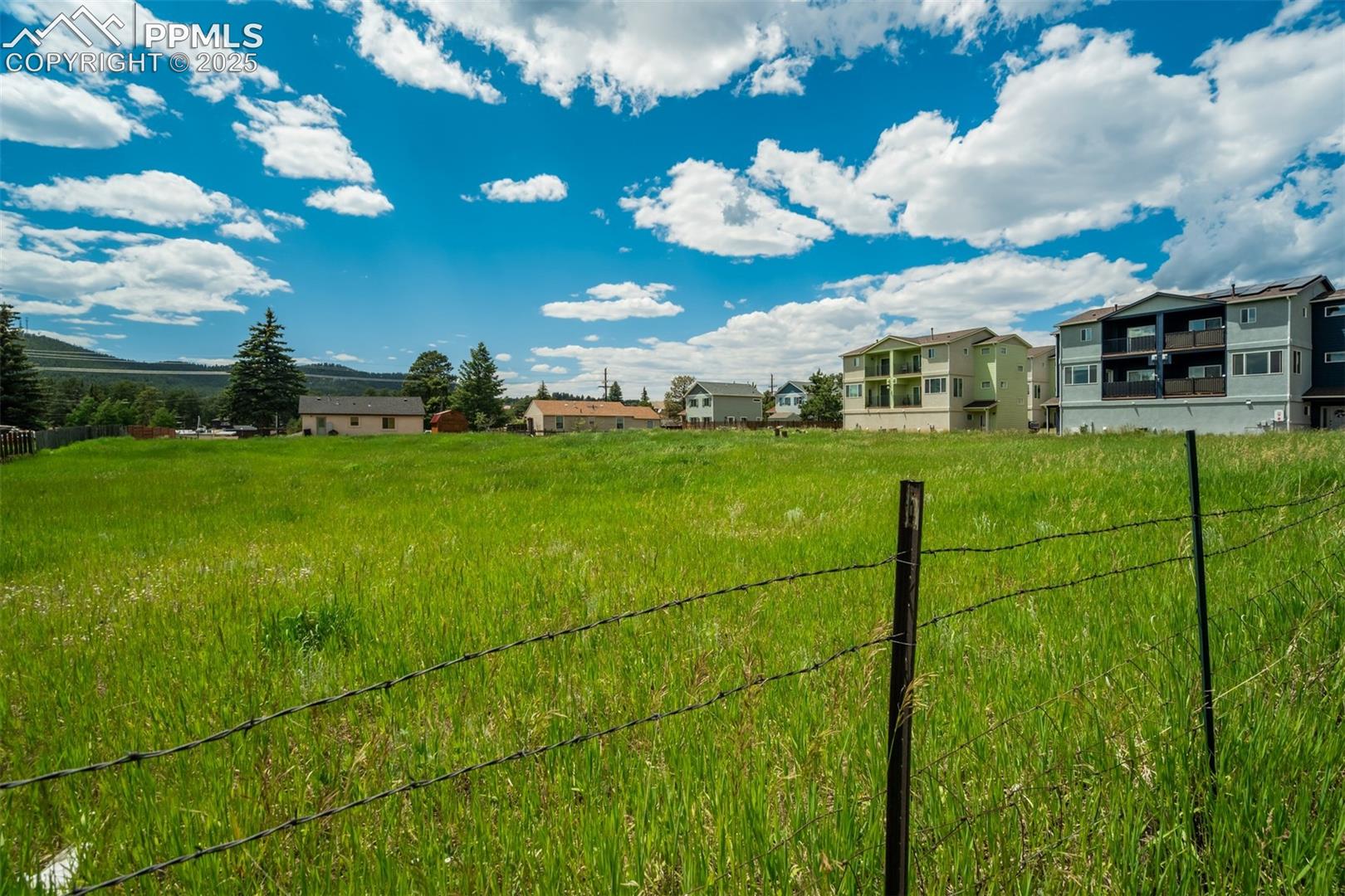 Photo 6 of Baldwin Street, Woodland Park