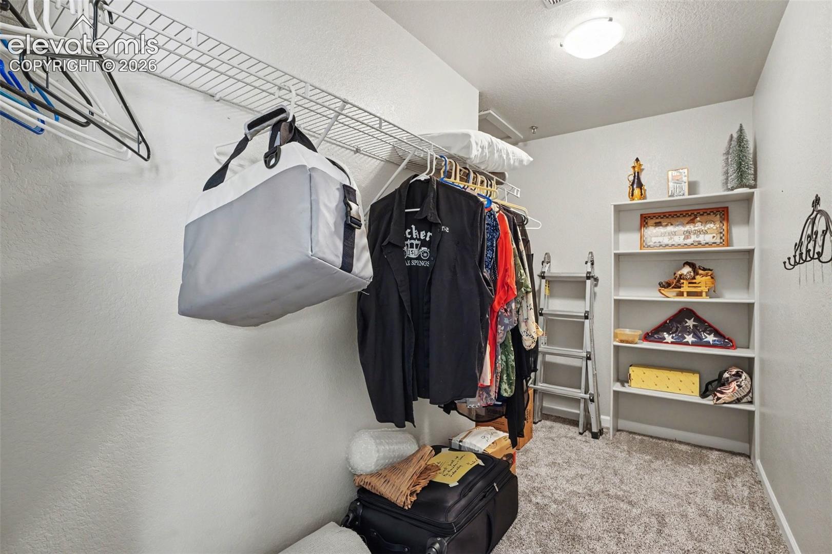 Storage area featuring wire shelving, built-in open-frame wall shelving, and carpeted flooring