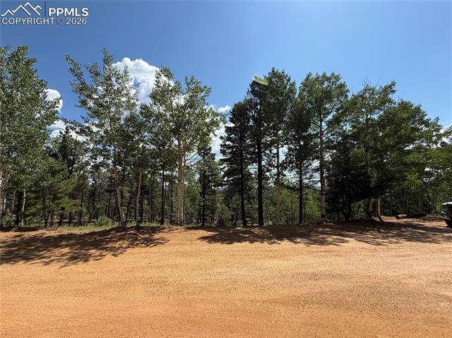 242 Apache Creek Dr, Florissant, CO 80816