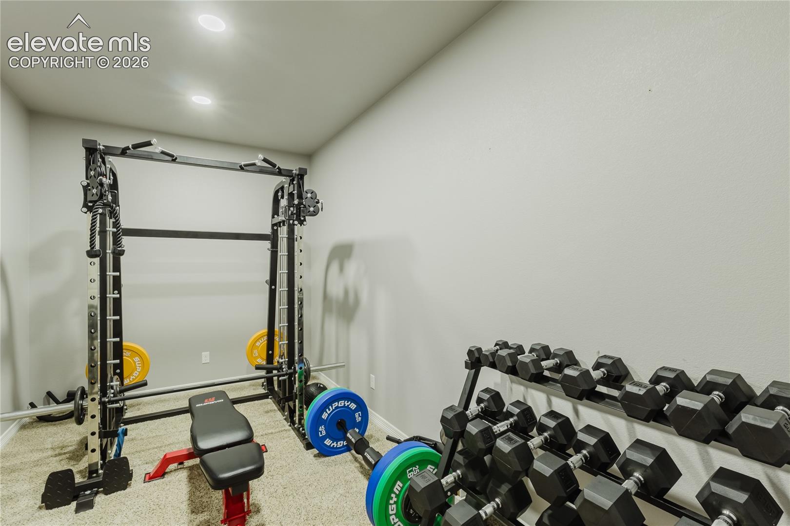 Dedicated fitness area featuring recessed lighting, light gray walls, and textured carpet flooring