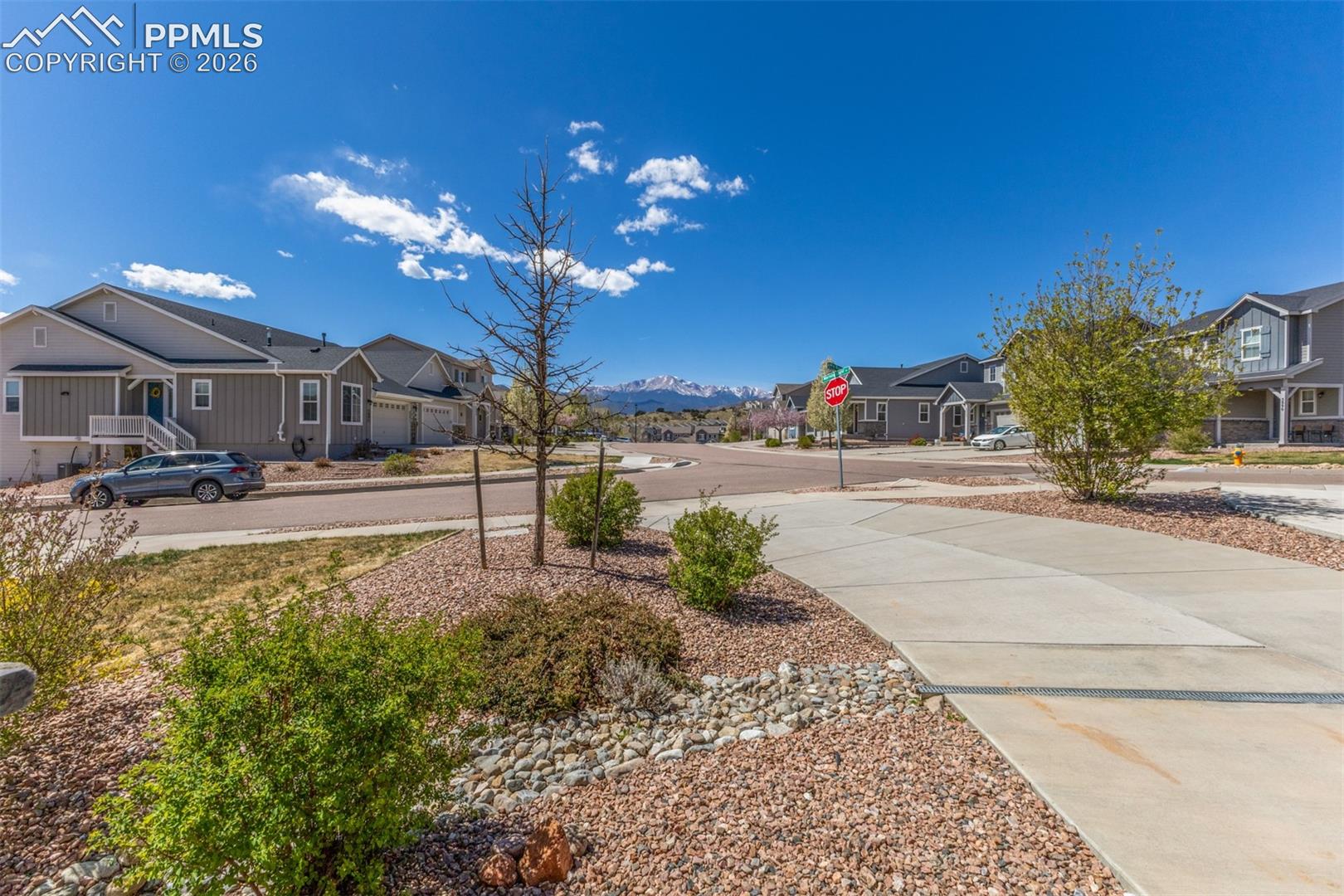 Photo 8 of 5877 Wild Rye Drive, Colorado Springs