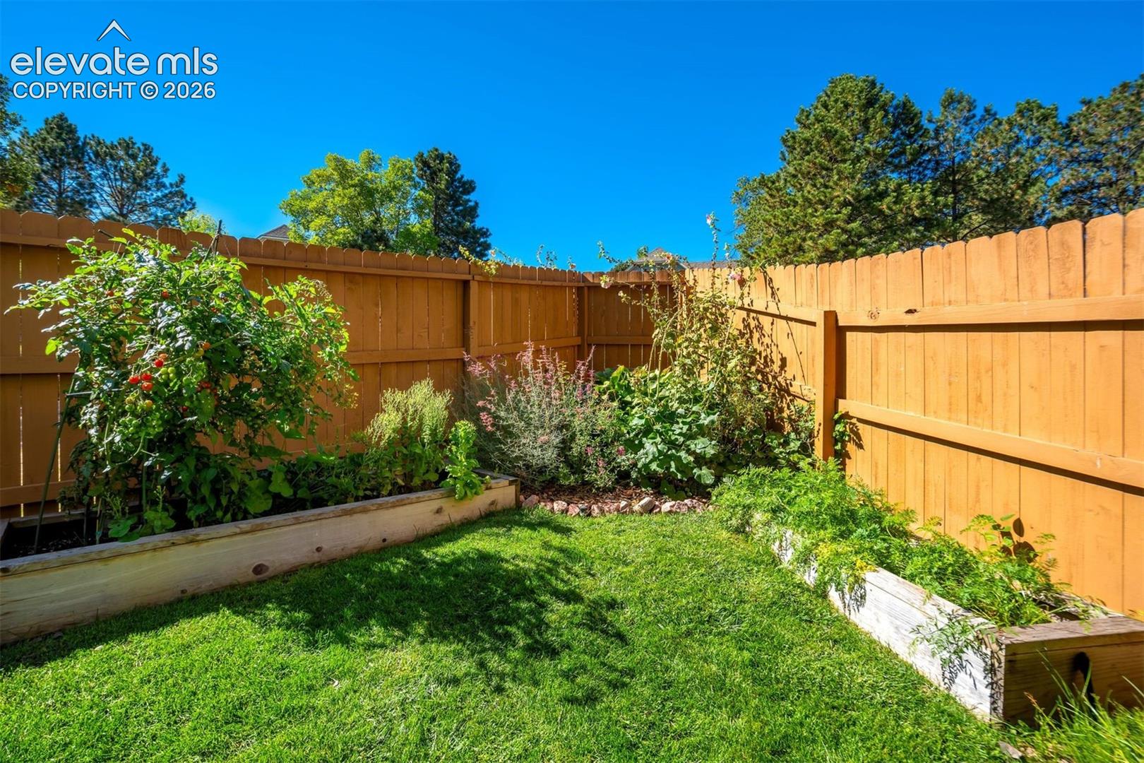 Photo 47 of 1132 War Eagle Court, Colorado Springs