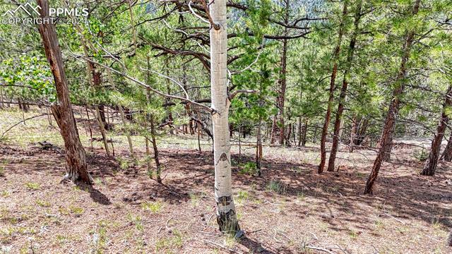 Photo 22 of 24 Wild Horse Circle, Cripple Creek