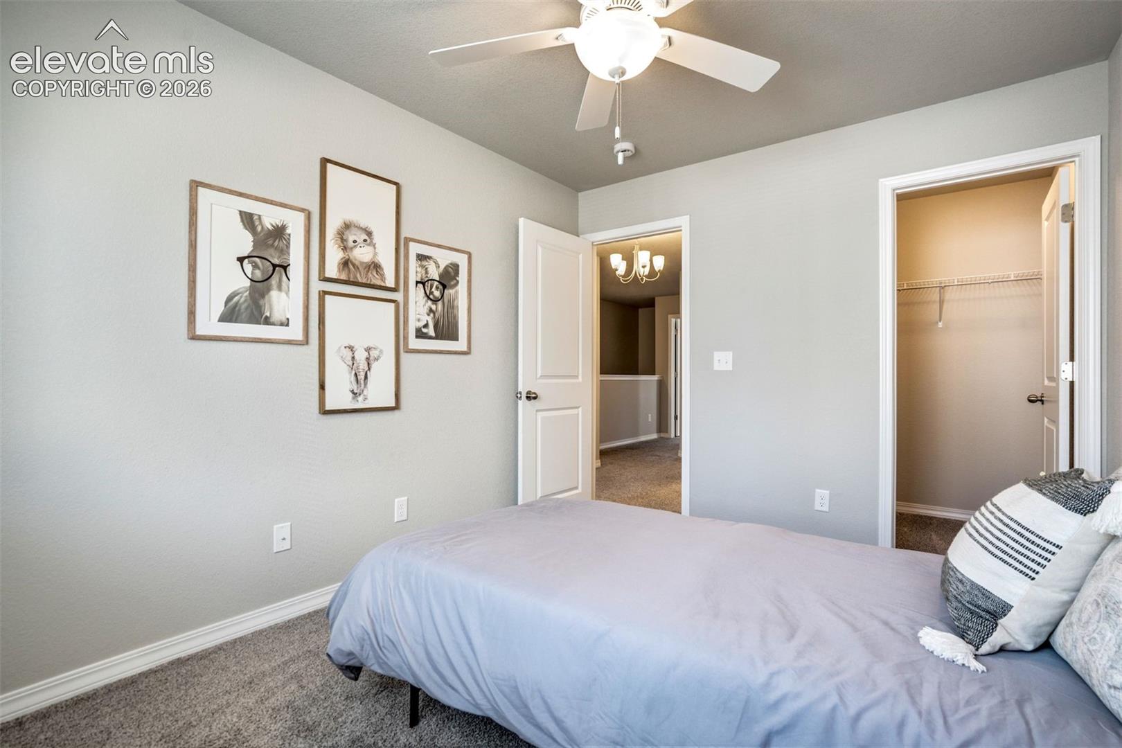 Photo 41 of 4511 Samaritan Loop, Colorado Springs