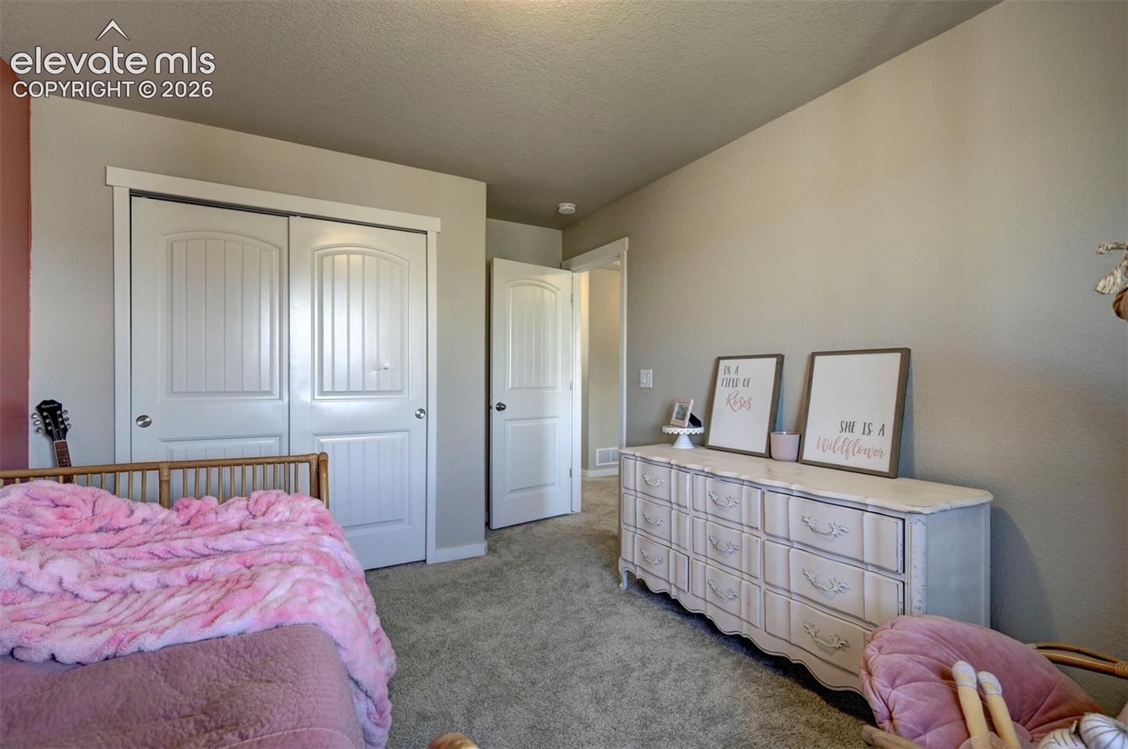 Photo 31 of 9186 Cut Bank Way, Colorado Springs