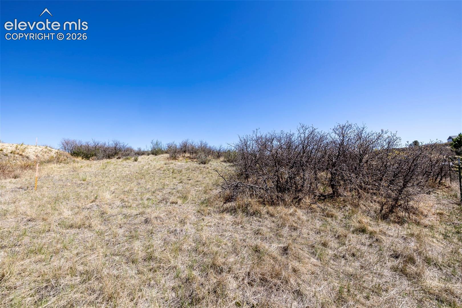 Photo 9 of 1701 N Rocky View Road, Castle Rock