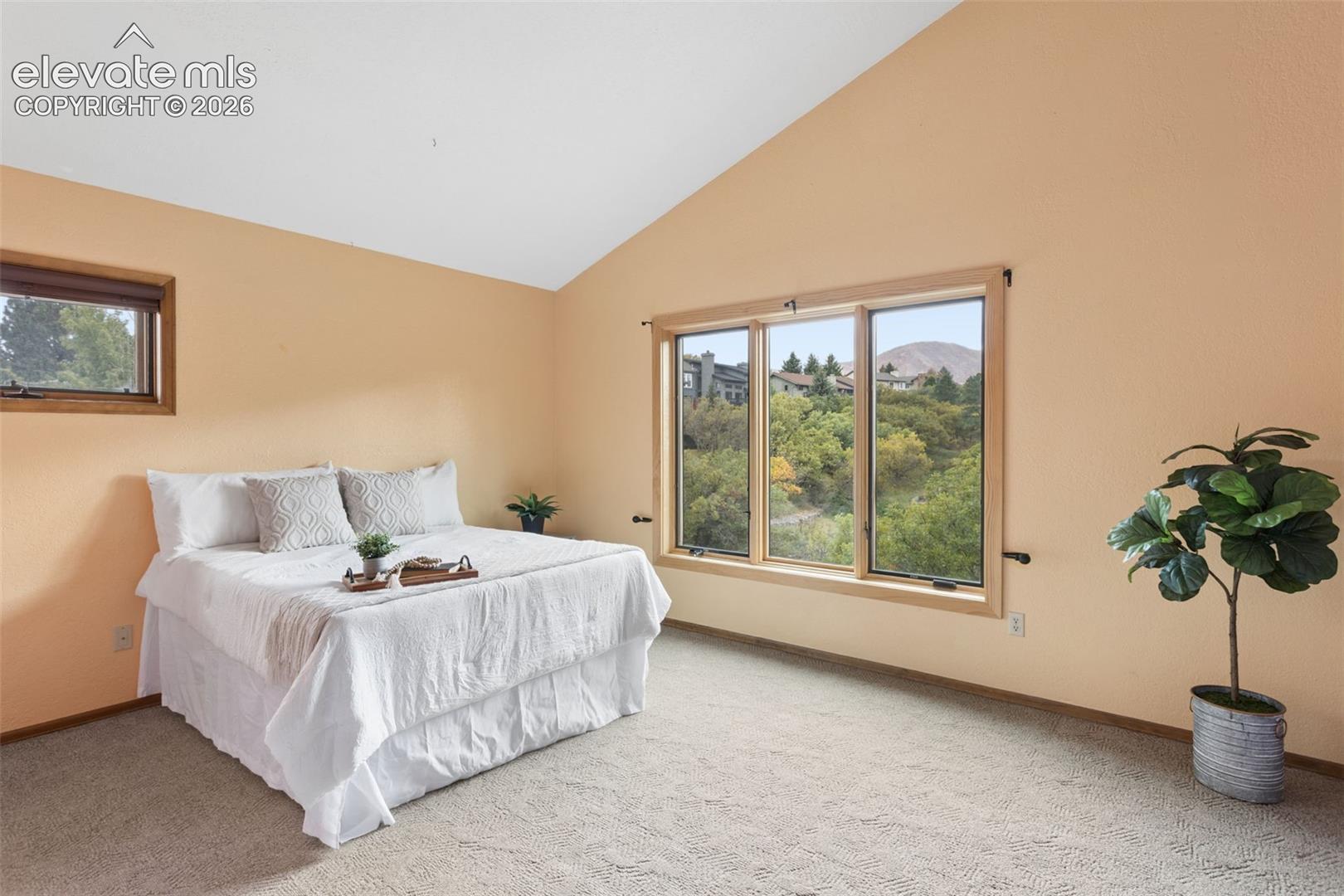 Photo 18 of 1570 Big Valley Drive, Colorado Springs