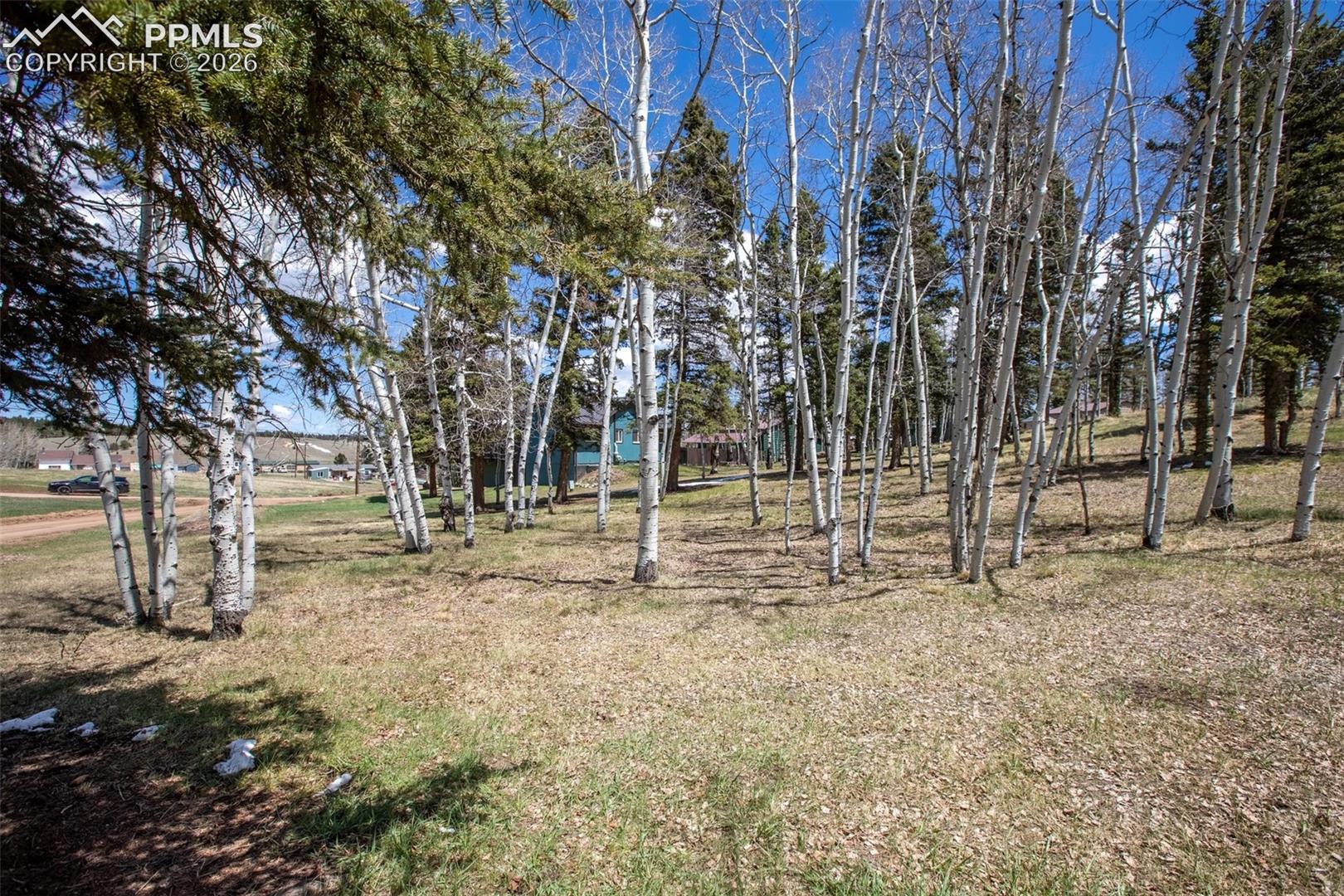 Photo 6 of 571 Will Scarlet Drive, Divide