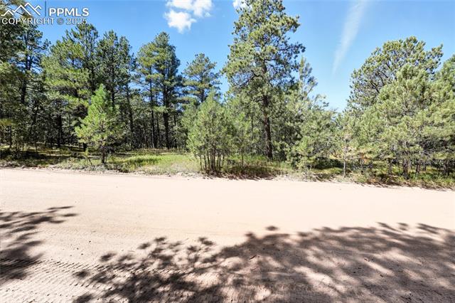 Photo 13 of 18400 Black Squirrel Road, Colorado Springs