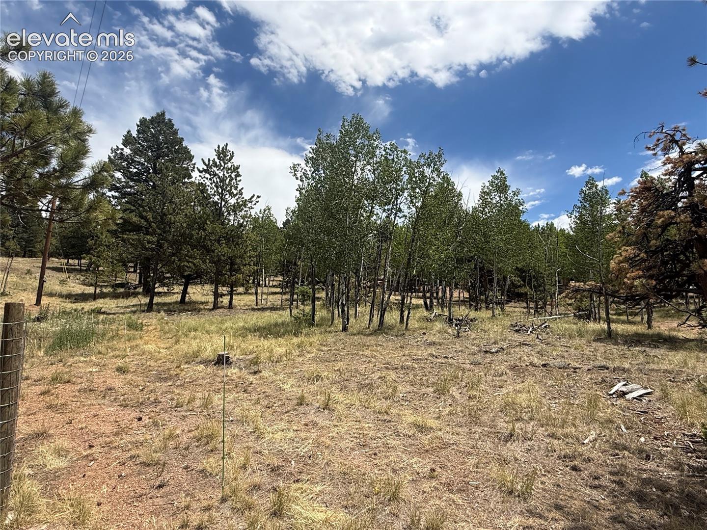 Back yard Aspen treed view with privacy