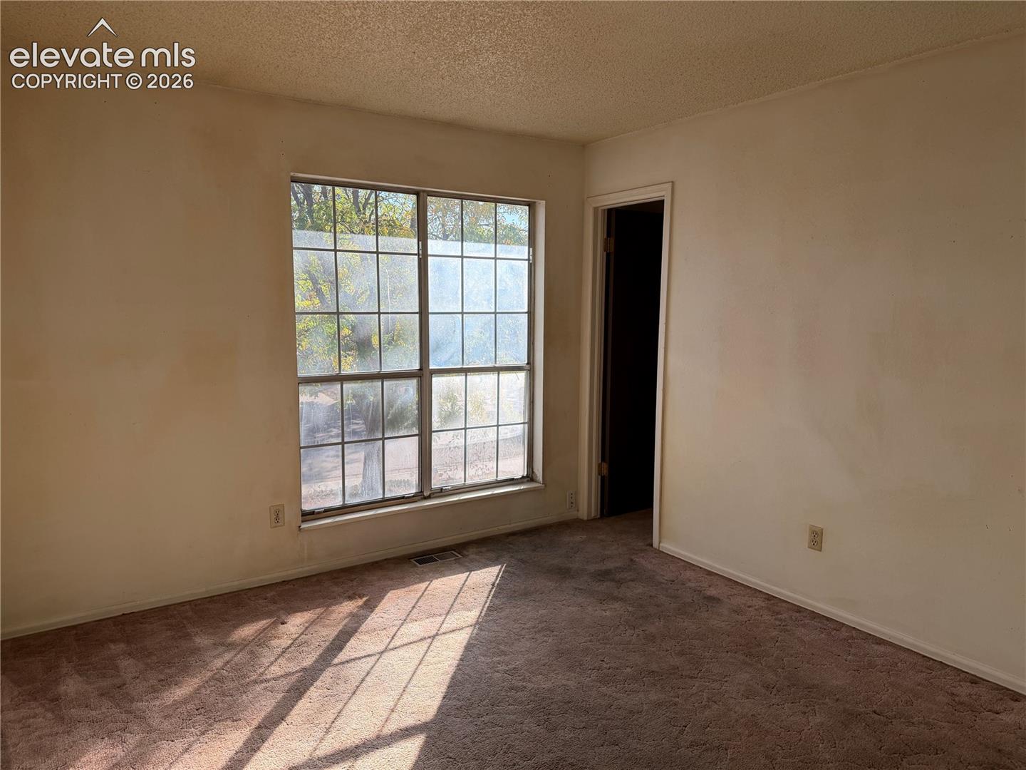 Master bedroom featuring grid-patterned windows and wall-to-wall carpeting. Walk in closet