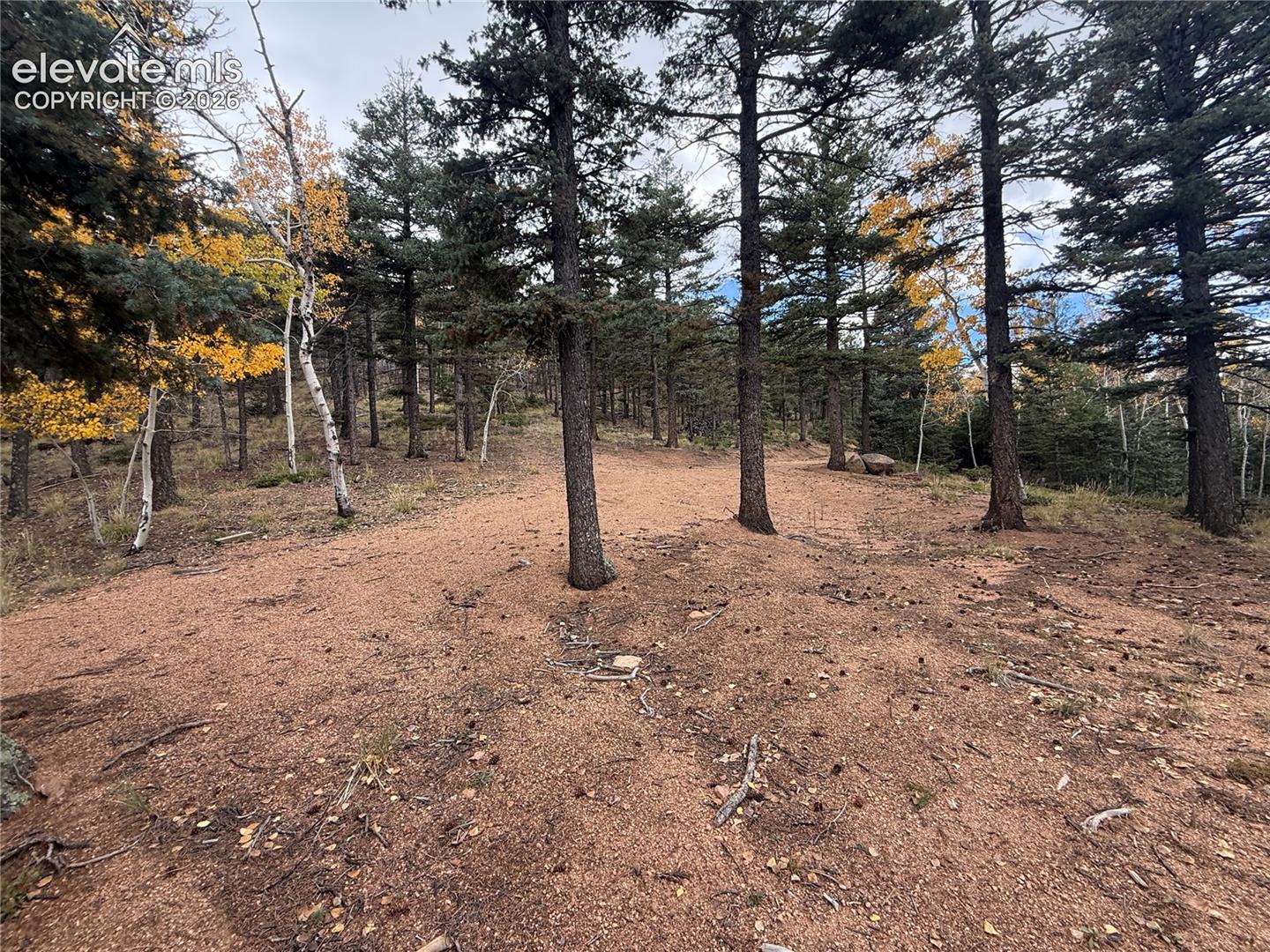 View of the build site