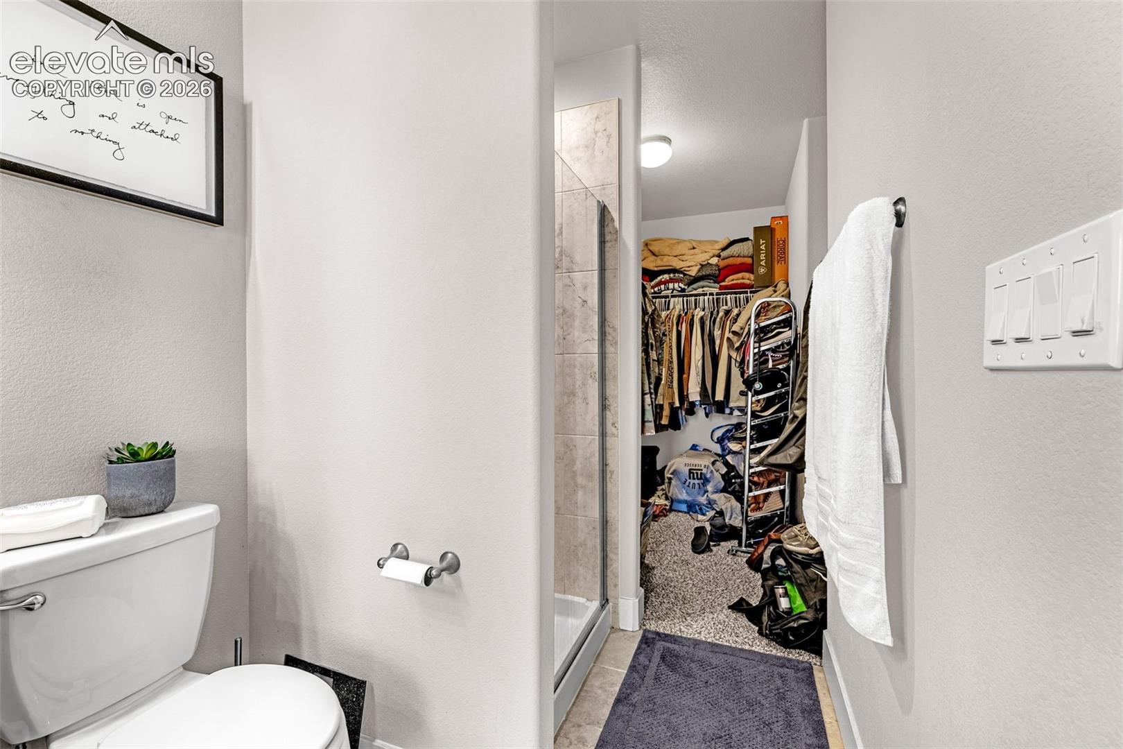 Recessed walk-in closet with carpet flooring
