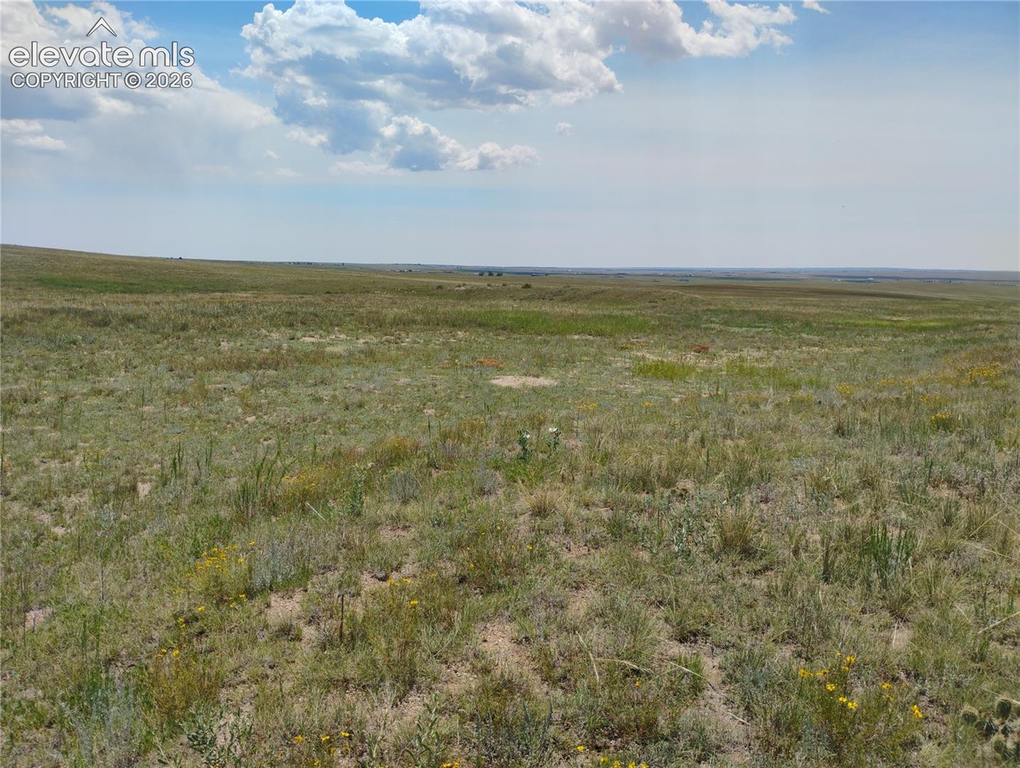 Photo 18 of 29455 Tallgrass View, Calhan