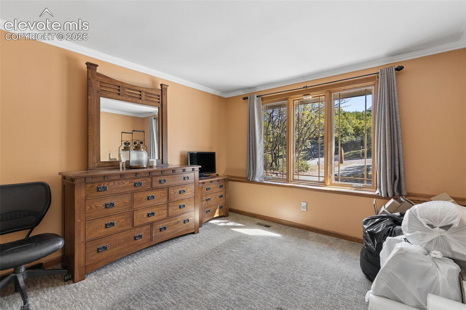 Triple-pane window assembly with wood casing, neutral carpeting, crown molding, and chair rail trim