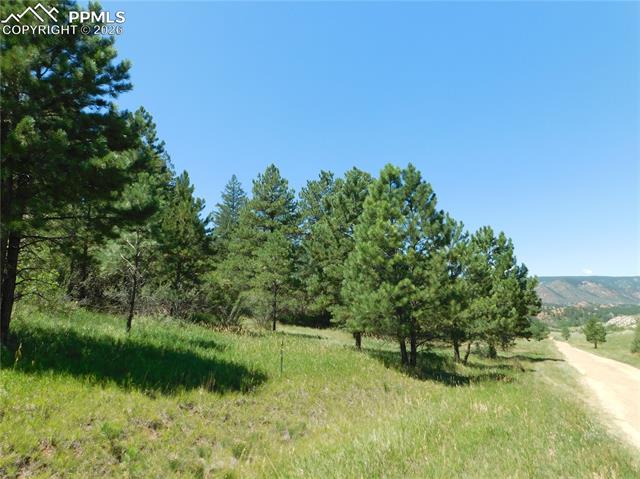 Photo 37 of 4668 Comanche Drive, Larkspur