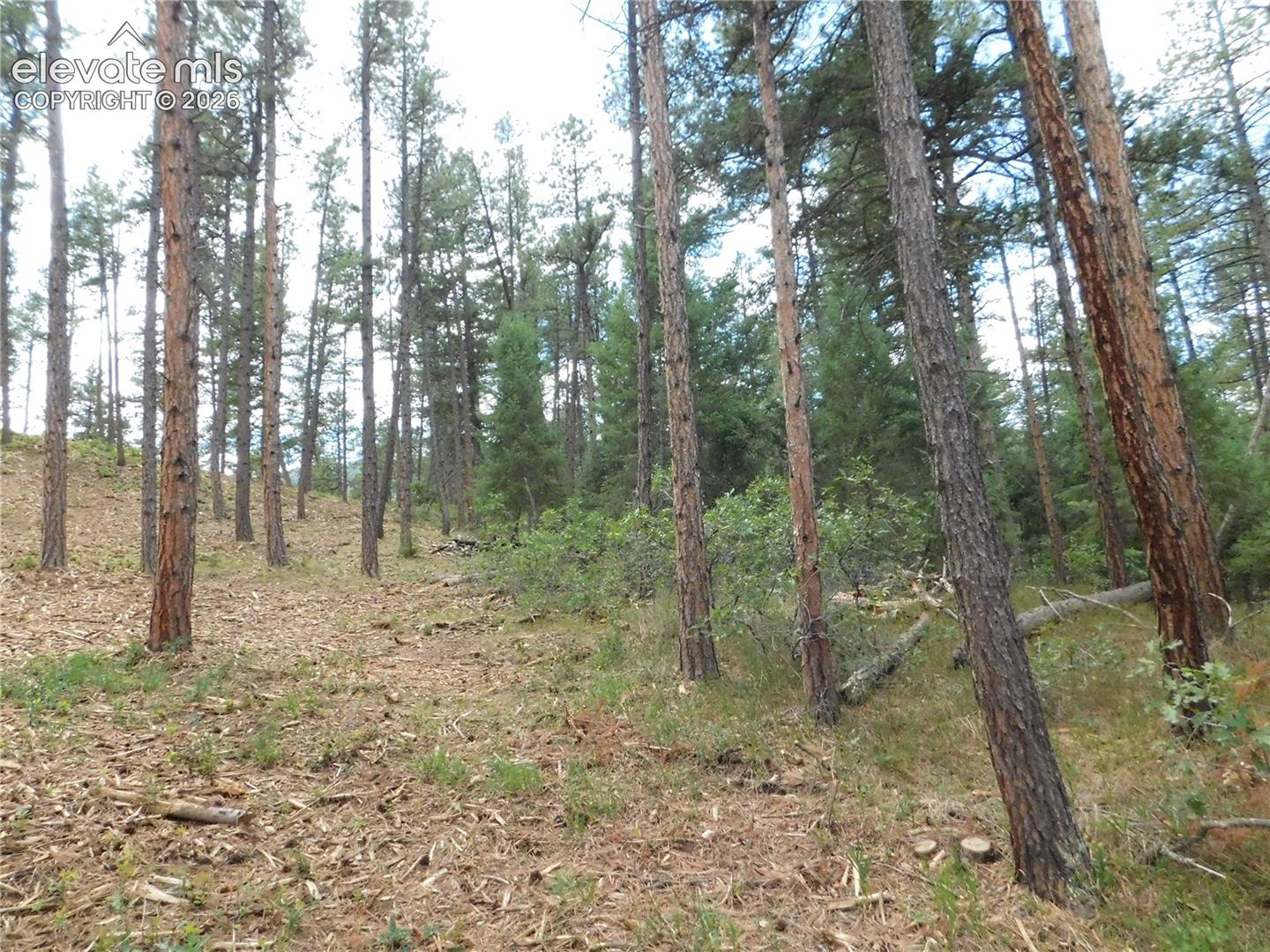 Photo 49 of 8139 Bannock Drive, Larkspur