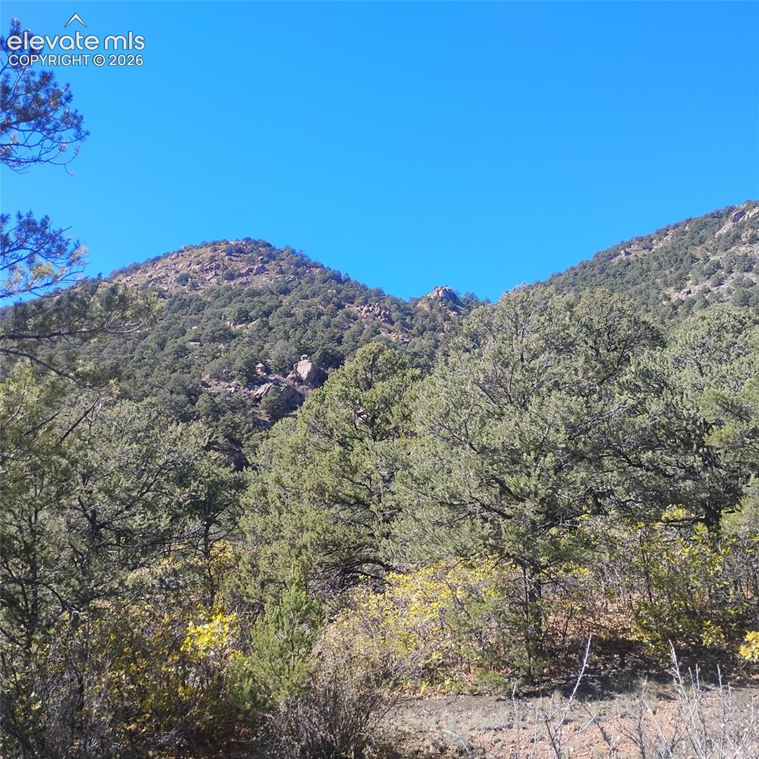 Rugged mountain terrain featuring native evergreen vegetation and dense shrubbery