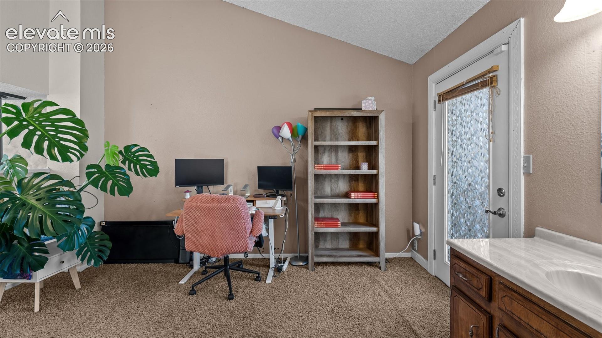 Vaulted ceiling, exterior access door with textured privacy glass, and a built-in vanity featuring a stone countertop with an integrated sink and wood cabinetry